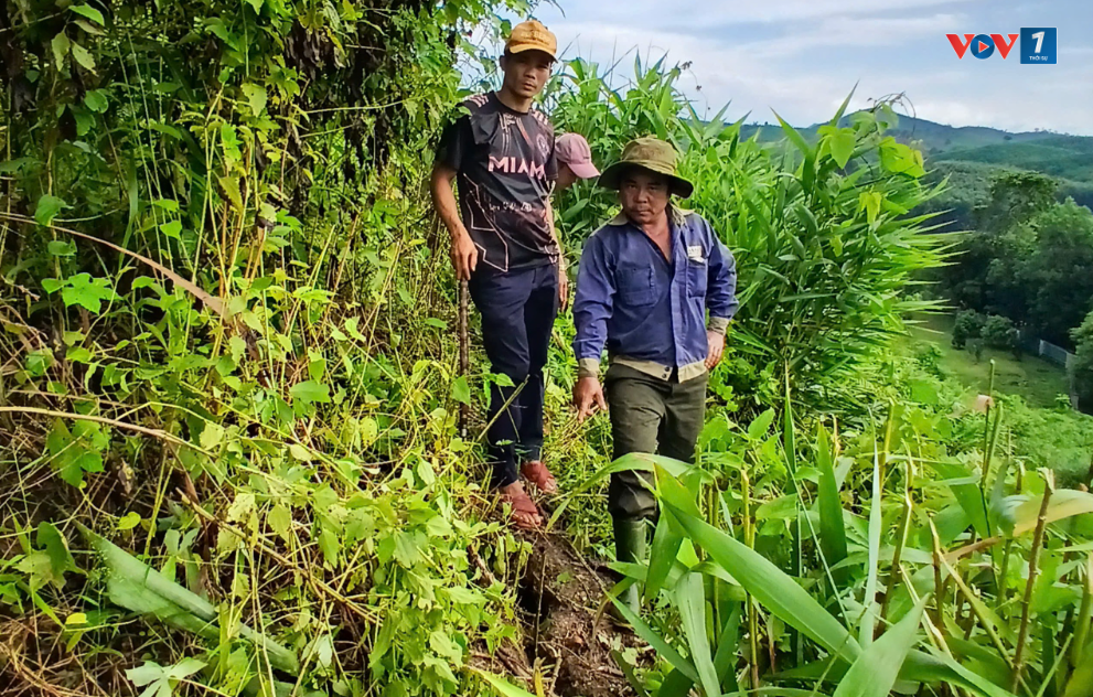 Xuất hiện vết nứt núi ở Phước Sơn, Quảng Nam khẩn cấp di dời 18 hộ dân (19/09/2024)